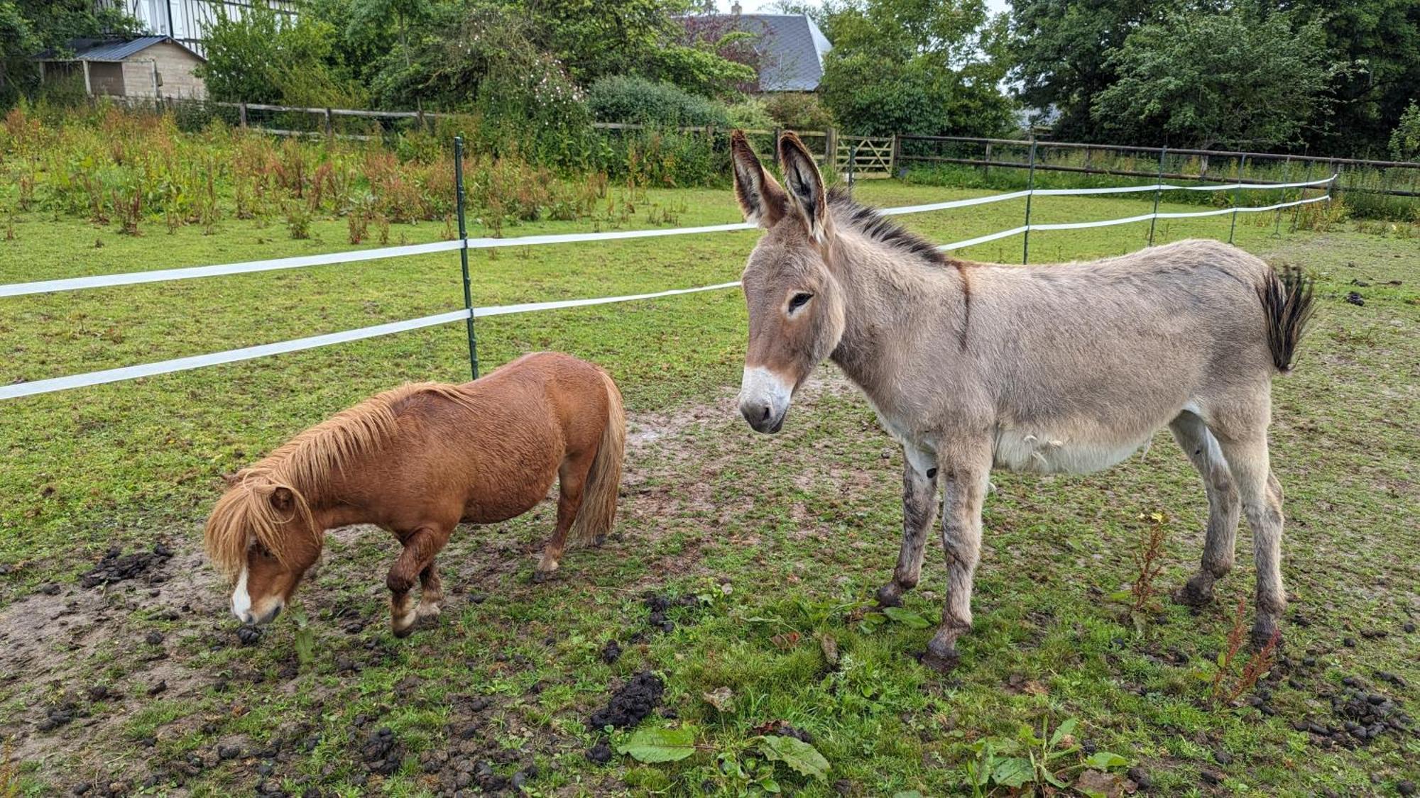 Gite Chez Loupi Épaignes Eksteriør bilde